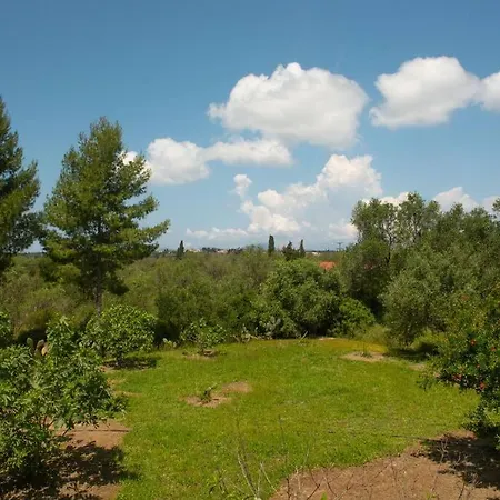 דירה Pine Tree Family House לפקימי